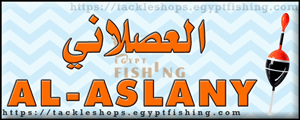Logo of Al-Aslany Marine Equipment, Jeddah