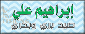 لوجو إبراهيم علي للصيد البري والبحري - مصر الجديدة بمدينة القاهرة الكبرى
