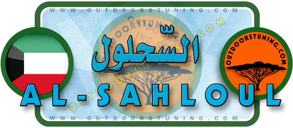 لوجو مكتب السحلول لتجارة الصقور - العدان بمبارك الكبير