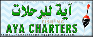 لوجو آية للرحلات البحرية والصيد والسباحة - الرايس بمنطقة المدينة المنورة