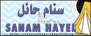 لوجو سنام حائل - لبدة