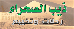 Theeb Riyadh ذيب الصحراء للرحلات والتخييم بشمال الرياض